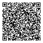 QR код "Дэмис Групп"