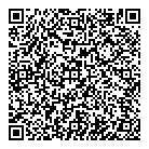 QR код "Гео-Влад"