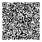 QR код "Паутинка"