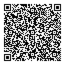 QR код "Глобус"