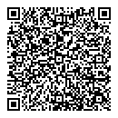 QR код "Ромашка"