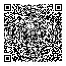 QR код "Арсенал"