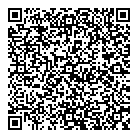 QR код "DluxStudio"