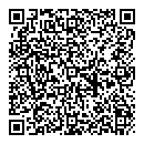 QR код "Parallel"