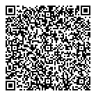 QR код "Спутник+"