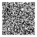 QR код "Луна"