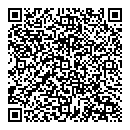 QR код "Сова"