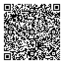 QR код "Daily Storm"