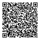 QR код "Молния"