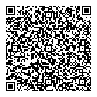 QR код "Арлекино"