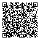 QR код "INS"