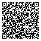 QR код "Toy Story"