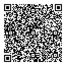 QR код "RECORD"