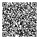 QR код "Волчок"