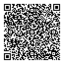 QR код "Лион"