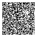 QR код "Лион"