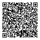 QR код "Комета"