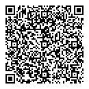 QR код "Electra style"