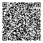 QR код "Platilkin"
