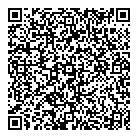 QR код "Platilkin"
