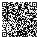 QR код "Q Case"