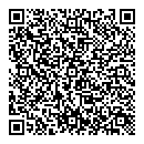 QR код "Индиго"