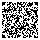 QR код "VIP version"