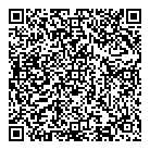 QR код "Рыжий кот"