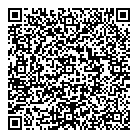 QR код "Профессионал"