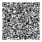 QR код "Сатурн"