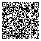 QR код "Мир Дэнас"