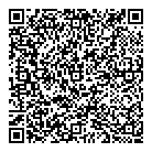QR код "33 пингвина"