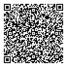 QR код "Профессионал"