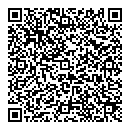 QR код "Аrt-logo"