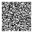 QR код "Луна"
