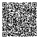 QR код "Арсенал"