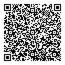 QR код "Силуэт"