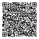 QR код "Спутник"