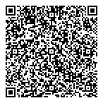 QR код "Спутник 31"