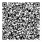 QR код "Профессионал"