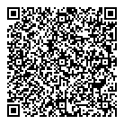 QR код "Bolido"