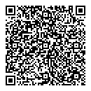 QR код "Копейка"
