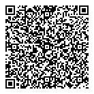 QR код "Драйвсервис"