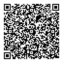 QR код "Raccoon"