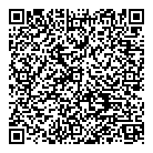 QR код "SystemsDV"