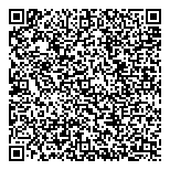 QR код "Holiday paint"