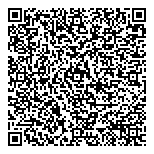QR код "Фейерверк 36"