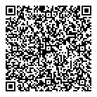 QR код "ВизСервис"
