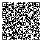 QR код "Вулкан"