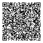 QR код "Моя игрушка"